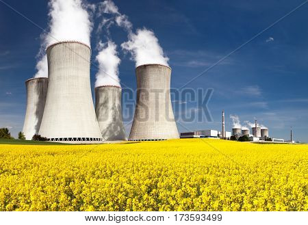 Nuclear power plant Dukovany cooling tower with golden flowering field of rapeseed canola or colza- Czech Republic - two possibility for production of energy