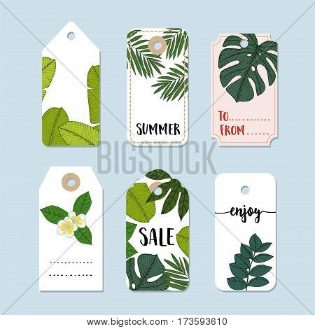 Set of hand drawn summer vintage sale labels and gift tags. Trendy tropical jungle design with palm and monstera leaves. Isolated vector objects. Stock illustrations.