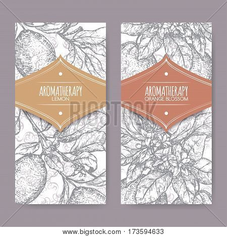 Set of two labels with Orange blossom and lemon branch sketch on elegant lace background. Aromatherapy series. Great for traditional medicine, perfume design, cooking or gardening.