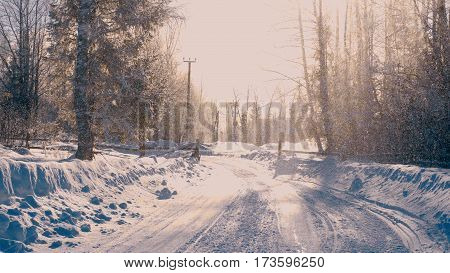 Winter forest in a hoarfrost. Snowfall 4K