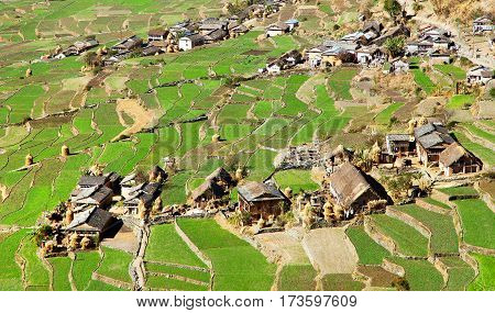 Dogadi village with terraced rice or paddy field - beautiful village in Western Nepal