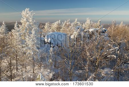 Rocks and trees in the winter forest