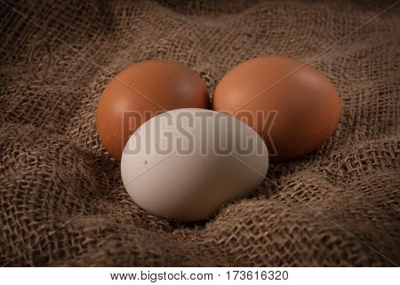 Eggs on jute sacks in brown tint