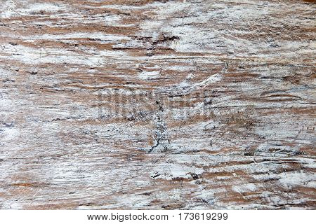 Background texture of old white painted wooden lining boards wall. Fence surface