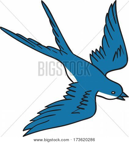 Drawing sketch style illustration of a swallow a fast flying passerine bird in the family Hirundinidae flying down viewed from the side set on isolated white background.
