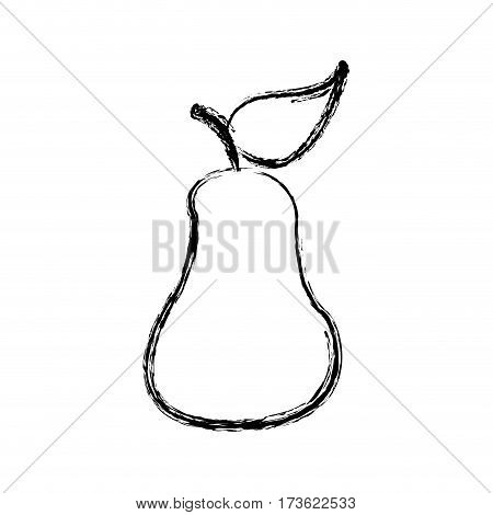 contour pear fruit icon stock, vector illustration design