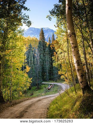 Autumn colors create a unique scenic beauty in the Rocky Mountains of Colorado.