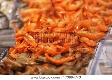 Fresh Shrimps on display in fishermen market. Background texture.