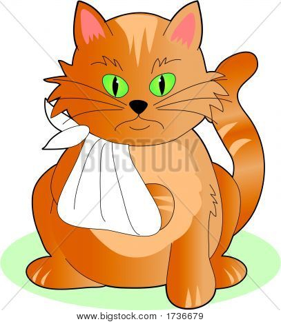 Cat_In_Sling.ai