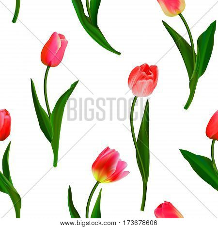 Seamless from red tulips and green leaves. Clipping Mask. Vector illustration. Realistic tulips. Not trace.