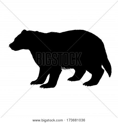 Badger silhouette. Hand drawn image. Black white icon. Vector illustration. Logo desing
