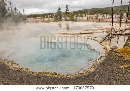 Beautiful turquoise or aqua color in the middle of this hot springs pool in Yellowstone National Park