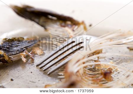 Kılçık plaka üzerinde