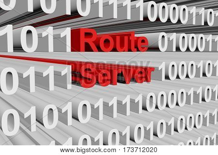 route server as binary code 3D illustration