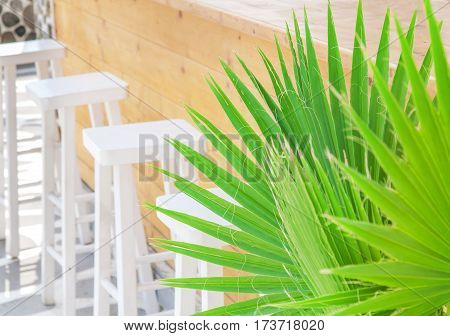 Beach bar close with green reed with sunny day