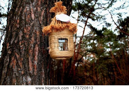 Feeder for birds.Feeder hanging on a tree in the Park. Birds entire cold winter sneeuw ate from this trough.