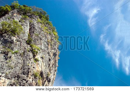 Landscape Nature With Tree Mountain And Ocean For Background