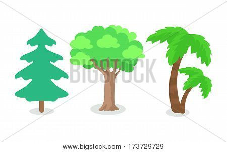 Trees of different continental zone isolated on white. Fir tree popular at north, oak tree at east and west, palm tree at south area. Set of plants icons. Tree with green leaves. Forest icon. Vector