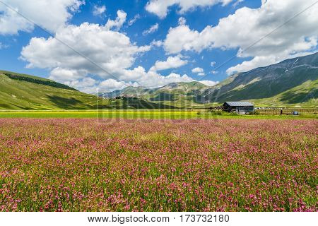 Piano Grande Mountain Plateau, Umbria, Italy