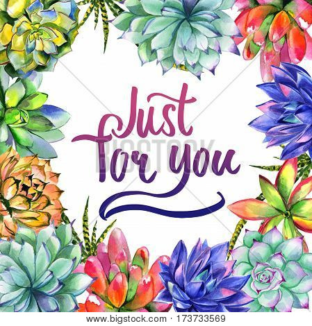 Wildflower succulentus flower frame in a watercolor style isolated. Full name of the plant: succulentus. Aquarelle wild flower for background, texture, wrapper pattern, frame or border.