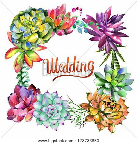 Wildflower succulentus flower frame in a watercolor style isolated. Full name of the plant: succulentus. Aquarelle wild flower for background, texture, wrapper pattern, frame or border.