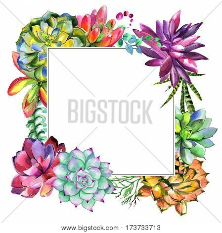 Wildflower succulentus flower frame in a watercolor style isolated. Full name of the plant: succulentus. Aquarelle wild flower for background, texture, wrapper pattern, frame or border.