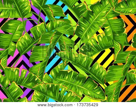 Seamless pattern with banana palm leaves. Decorative tropical foliage.
