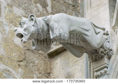 Gargoyle at the wall of the Basilique Saint-Nazaire-et-Saint-Celse in Carcassonne, France.