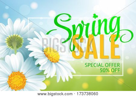 Springr sale concept. Summer background with chamomile and blue green landscape background. Template for banners, web, flyer, voucher. Vector illustration.