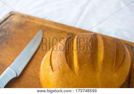 Head Of Traditional Adygei Cheese Handmade