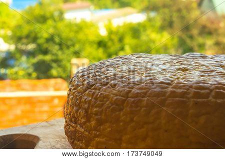 Head Of Traditional Adygei Cheese Handmade
