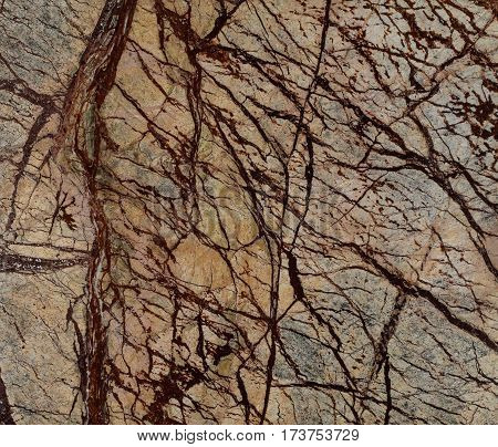 Natural Rain Forest Brown Marble Texture