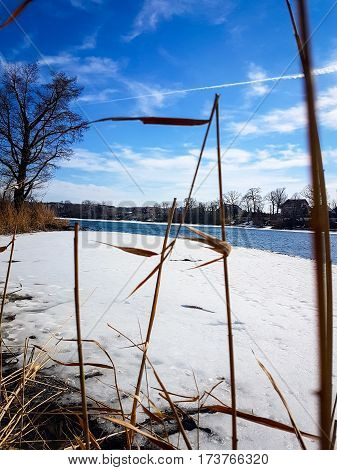 Picture of lake in a sunny day