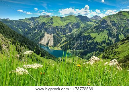 Beautiful fresh grassy meadow and and view down to a mountain lake and wooded mountains in the background. Vilsalpsee, Tannheimer Tal, Tirol.