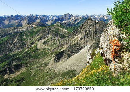 Great clear view from high mountain over other peaks. Some orange lichen und yellow flowers in the foreground. Alps, Bavaria, Tirol, Allgau.