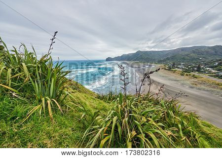 View of Piha beach in New Zealand from the slopes of Lion's rock