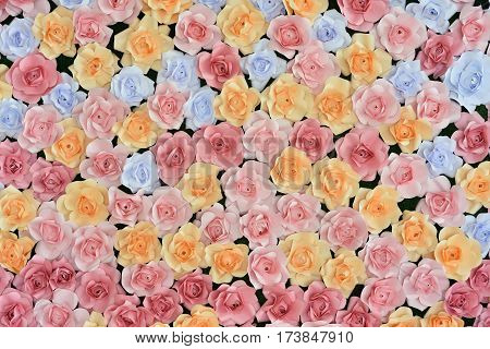 paper flowers colorfull backdrop use for background