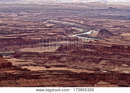 Endless canyons along Colorado River. Canyonlands National Park. Dead Horse Point. Moab. Utah. United States.