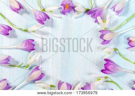 Frame of crocuses and snowdrops on the table with space for text. Top view, flat lay