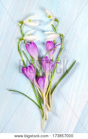 Flower arrangement with crocuses and snowdrops