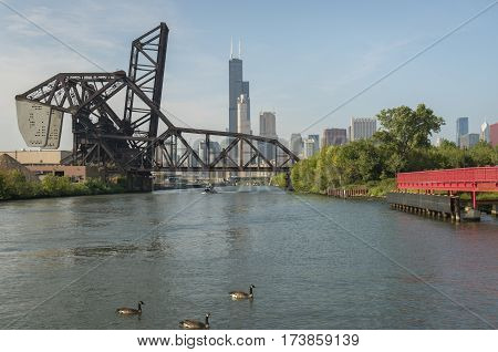 St. Charles Air Line Bridge And Chicago Downtown As Seen From Ping Tom Park.