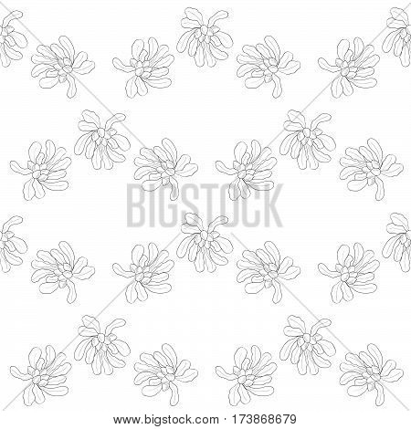 Shea tree nuts plant berry fruit natural organic butter ingredient. Hand drawn sketch illustration. Treatment cosmetics food ingredient seamless pattern
