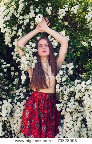 Beautiful Model Range Bush Of White Flowers