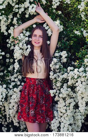 Beautiful Model Range Bush Of White Flowers