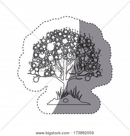 sticker silhouette leafy tree with ramifications vector illustration