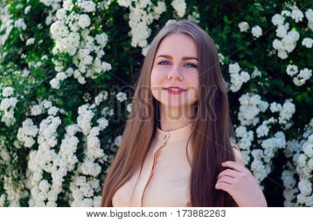 Beautiful Model Range Bush Of White Flowers
