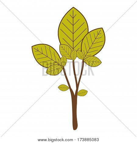 large ramifications with green leaves vector illustration