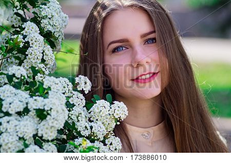 Beautiful Model Range Bush Of White Flowers