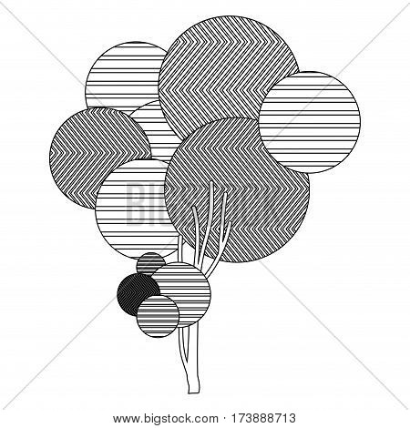 monochrome sketch high leafy tree plant with striped lines and thin trunk vector illustration