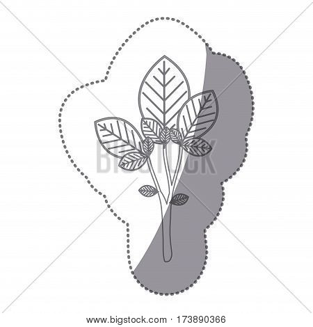 sticker gray color large ramifications with oval leaves vector illustration